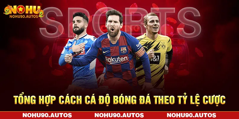 Tổng hợp cách cá độ bóng đá theo tỷ lệ cược