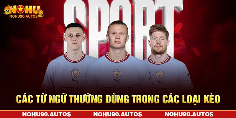 Các từ ngữ thường dùng trong các loại kèo