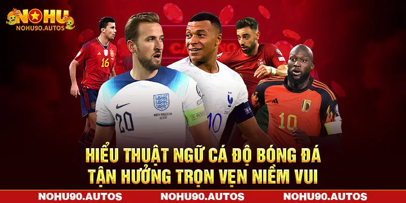 Hiểu Thuật Ngữ Cá Độ Bóng Đá Tận Hưởng Trọn Vẹn Niềm Vui